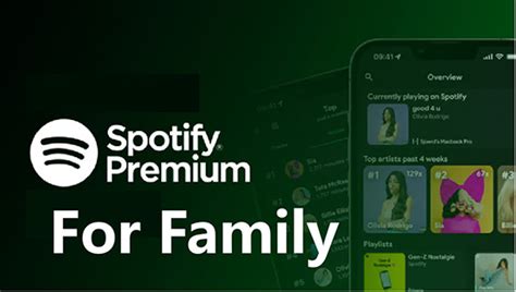 wie wird spotify family kontrolliert|Family Abo